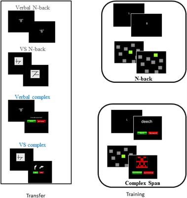 Are Working Memory Training Effects Paradigm-Specific?